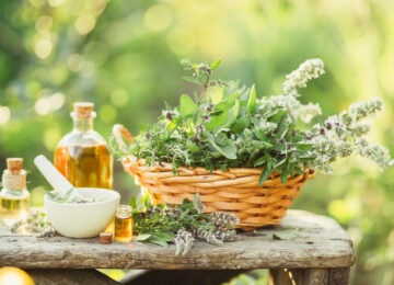 medicinal-plants-in-the-basket-EPXZ9TY